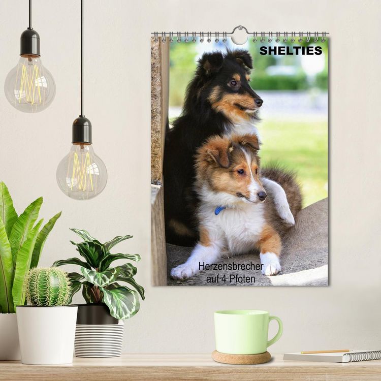 Produktbild: SHELTIES Herzensbrecher auf 4 Pfoten (Wandkalender 2026 DIN A4 hoch), CALVENDO Monatskalender