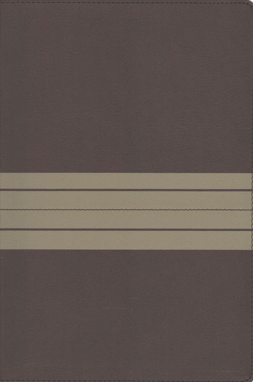 Produktbild: Zondervan: NIV, Thinline Bible, Large Print, Imitation Leath