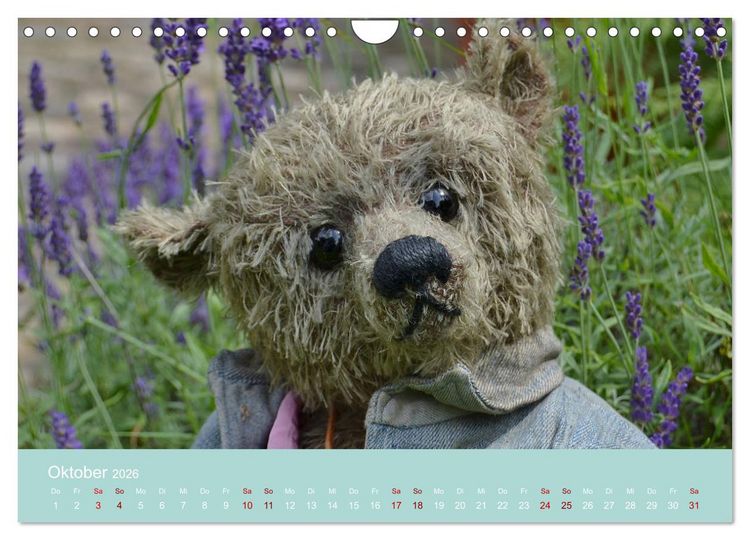 Produktbild: Robin der B&auml;r (Wandkalender 2026 DIN A4 quer), CALVENDO Monatskalender