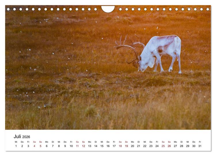 Produktbild: Skandinavien - Hoch im Norden (Wandkalender 2026 DIN A4 quer), CALVENDO Monatskalender