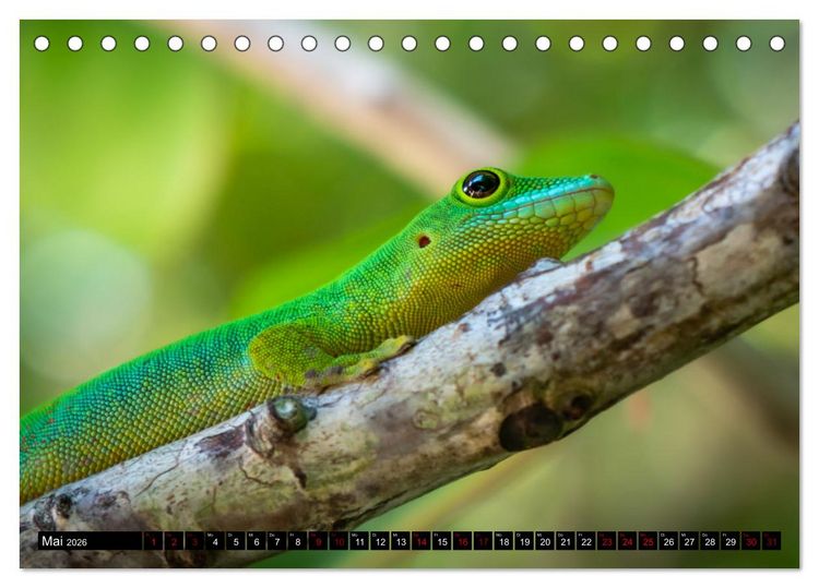 Produktbild: Seychellen - Das wahre Paradies (Tischkalender 2026 DIN A5 quer), CALVENDO Monatskalender