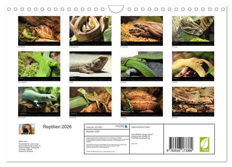 Produktbild: Reptilien 2026 (Wandkalender 2026 DIN A4 quer), CALVENDO Monatskalender