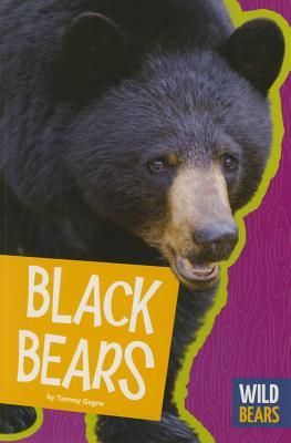 Produktbild: Black Bears