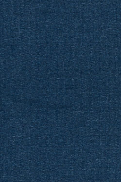 Produktbild: Introduction to Fourier Analysis on Euclidean Spaces
