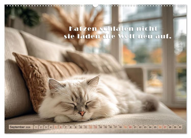 Produktbild: Miau-velous Pfotenpoesie (Wandkalender 2026 DIN A2 quer), CALVENDO Monatskalender