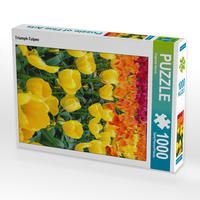 Produktbild: CALVENDO Puzzle Triumph-Tulpen 1000 Teile Lege-Gr&ouml;&szlig;e 48 x 64 cm Foto-Puzzle Bild von Eugeniya Kareva