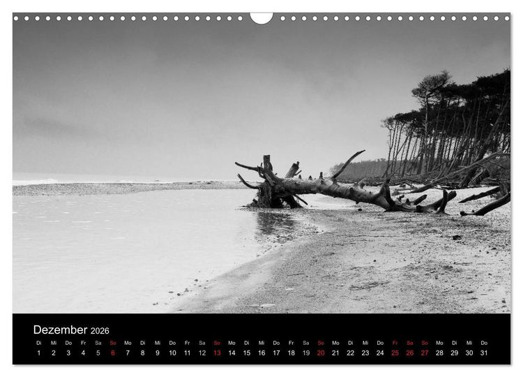 Produktbild: Strandspaziergang an der Ostsee (Wandkalender 2026 DIN A3 quer), CALVENDO Monatskalender