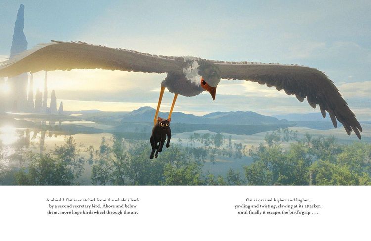 Produktbild: Flow Picture Bk_flow Movie Hb