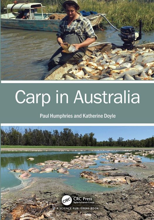 Produktbild: Carp in Australia