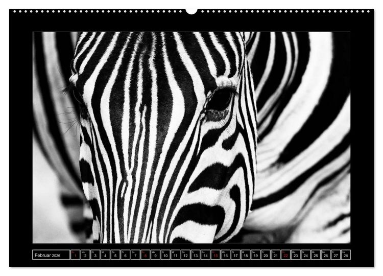 Produktbild: Afrika Schwarz - Weiss (hochwertiger Premium Wandkalender 2026 DIN A2 quer), Kunstdruck in Hochglanz