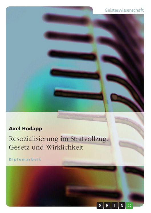 Produktbild: Resozialisierung im Strafvollzug - Gesetz und Wirklichkeit