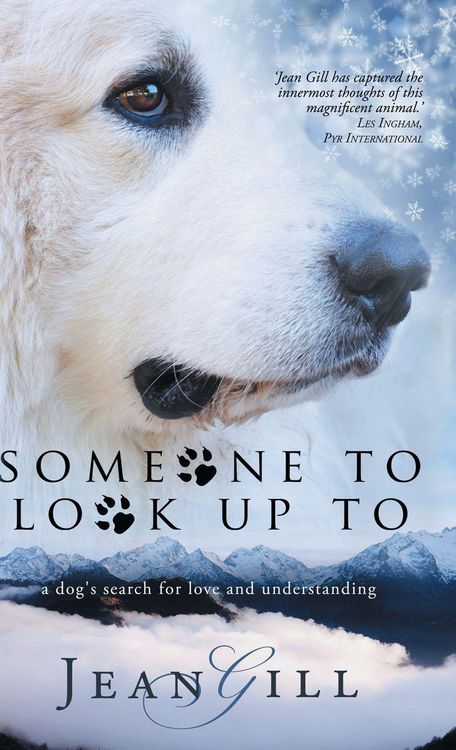 Produktbild: Someone To Look Up To