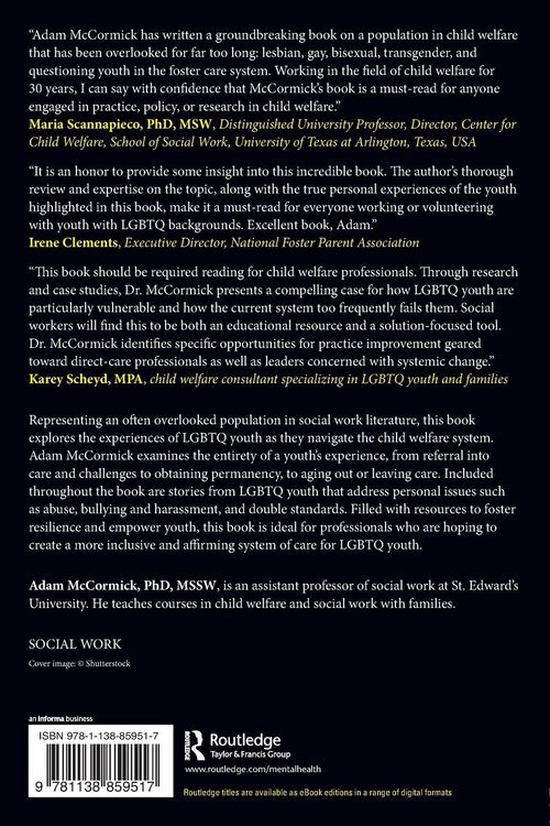 Produktbild: LGBTQ Youth in Foster Care