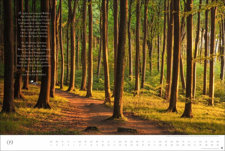Produktbild: Der deutsche Wald - Ein literarischer Spaziergang Kalender 2027 - Ein literarischer Spaziergang