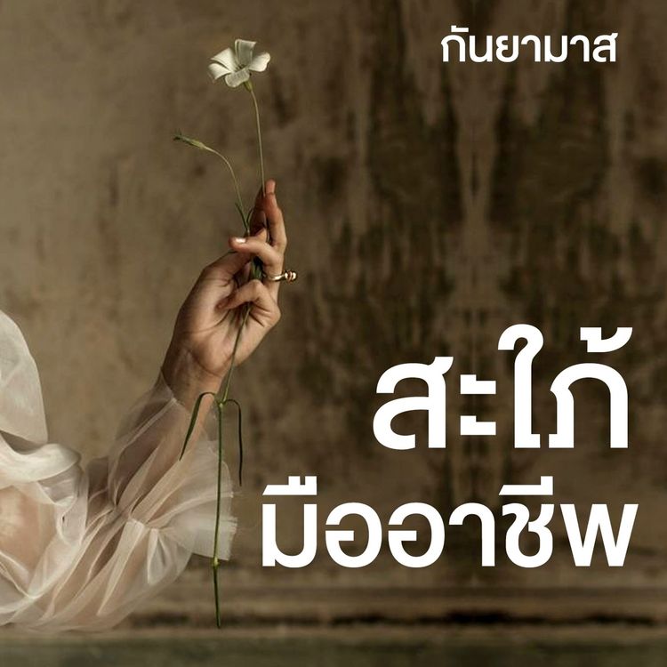 Produktbild: สะใภ้มืออาชีพ