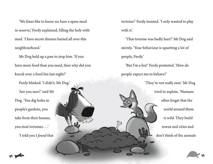 Produktbild: Mr Dog and the Faraway Fox