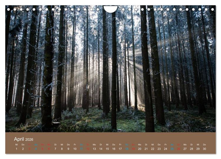Produktbild: Fasziantion Natur (Wandkalender 2026 DIN A4 quer), CALVENDO Monatskalender
