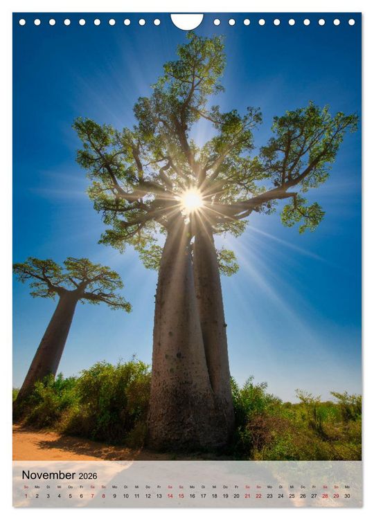 Produktbild: MADAGASKAR: Baobabs, Lemuren, Naturwunder (Wandkalender 2026 DIN A4 hoch), CALVENDO Monatskalender