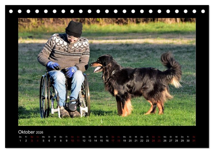 Produktbild: Der Hovawart... Dein Freund f&uuml;rs Leben ! (Tischkalender 2026 DIN A5 quer), CALVENDO Monatskalender