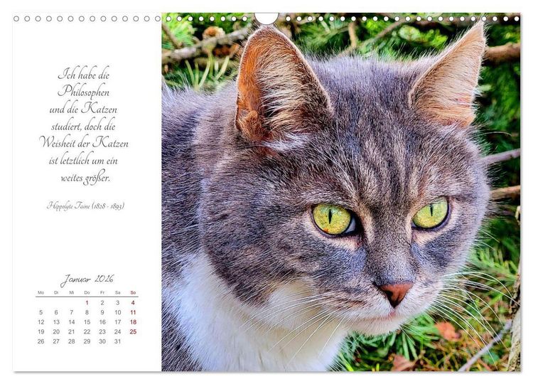 Produktbild: Catlovers - Ein Jahr voller Samtpfoten und charmanten Weisheiten (Wandkalender 2026 DIN A3 quer), CALVENDO Monatskalender