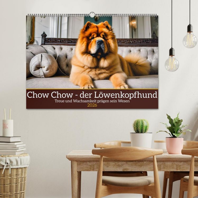 Produktbild: Chow Chow - der L&ouml;wenkopfhund (Wandkalender 2026 DIN A2 quer), CALVENDO Monatskalender