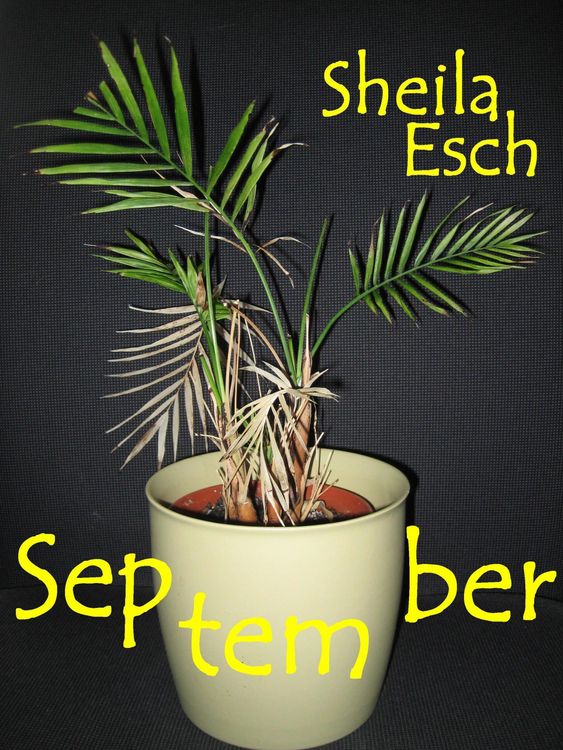 Produktbild: September