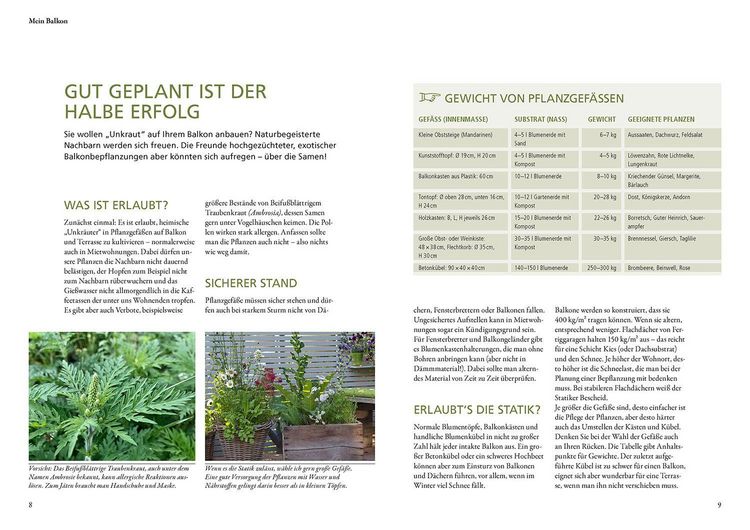 Produktbild: Wildkr&auml;uter in T&ouml;pfen & K&uuml;beln