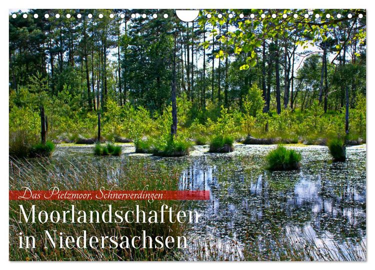 Produktbild: Niedersachsens Moorlandschaften - Das Pietzmoor, Schneverdingen (Wandkalender 2026 DIN A4 quer), CALVENDO Monatskalender