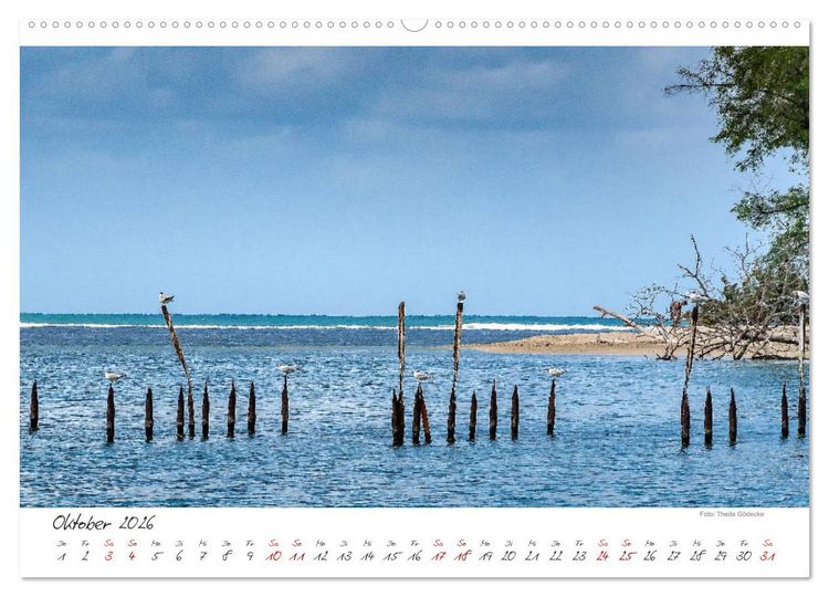 Produktbild: Natur pur, Costa Rica (hochwertiger Premium Wandkalender 2026 DIN A2 quer), Kunstdruck in Hochglanz