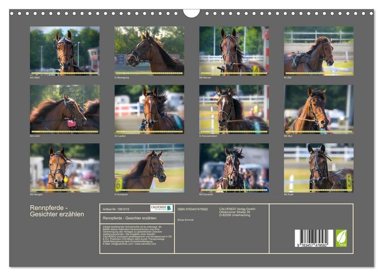 Produktbild: Rennpferde - Gesichter erz&auml;hlen (Wandkalender 2026 DIN A3 quer), CALVENDO Monatskalender