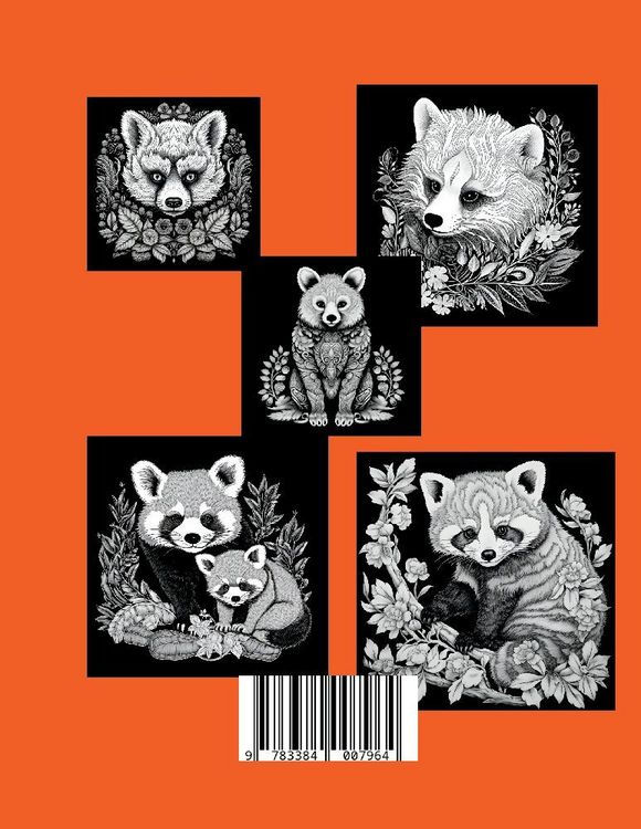 Produktbild: Schwarzes Malbuch &bdquo;Roter Panda&ldquo;.