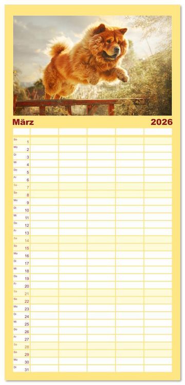 Produktbild: Familienplaner 2026 - Chow Chow Momente. Fellpoesie aus dem Reich der Mitte mit 5 Spalten (Wandkalender, 21 x 45 cm) CALVENDO