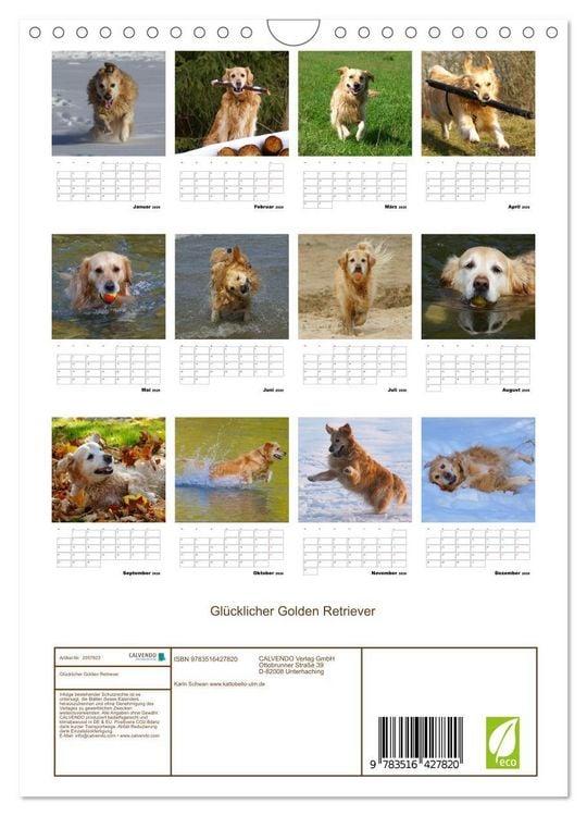 Produktbild: Gl&uuml;cklicher Golden Retriever (Wandkalender 2026 DIN A4 hoch), CALVENDO Monatskalender