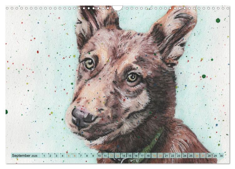 Produktbild: Hundeportr&auml;ts in Aquarell (Wandkalender 2026 DIN A3 quer), CALVENDO Monatskalender