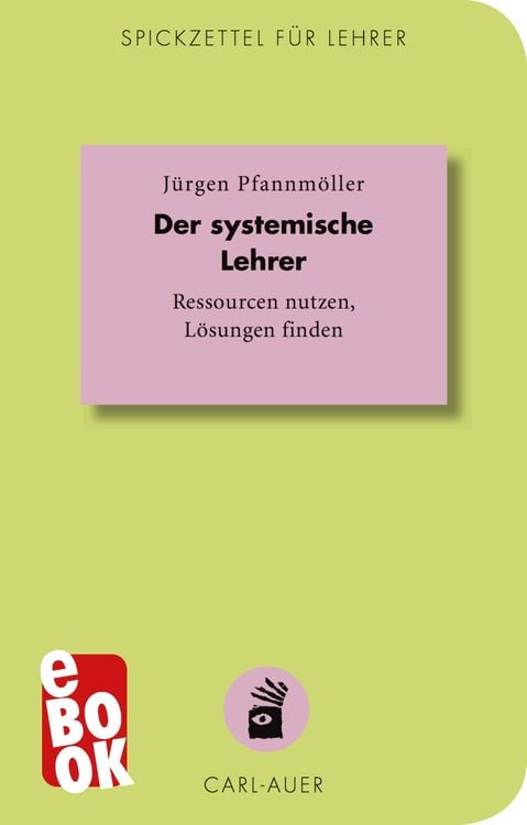 Bild vom Artikel Der systemische Lehrer vom Autor Jürgen Pfannmöller