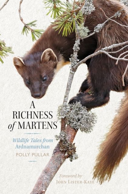 Produktbild: Pullar, P: A Richness of Martens