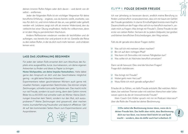 Produktbild: Das BeRUFungsprinzip