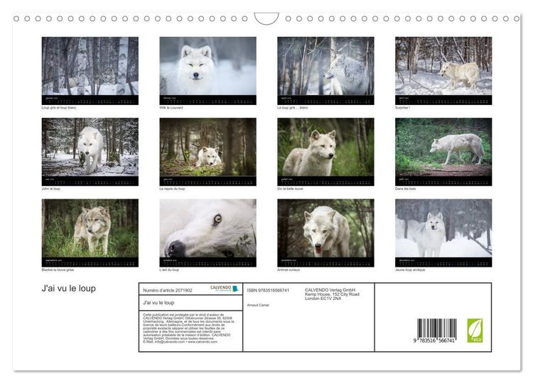 Produktbild: J'ai vu le loup (Calendrier mural 2026 DIN A3 vertical), CALVENDO calendrier mensuel