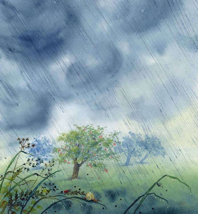 Produktbild: Bertie Pom und das gro&szlig;e Donnerwetter