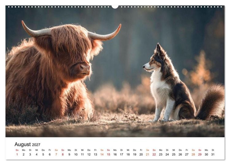 Produktbild: Beste Freunde - ein tierisch buntes Miteinander (hochwertiger Premium Wandkalender 2027 DIN A2 quer), Kunstdruck in Hochglanz