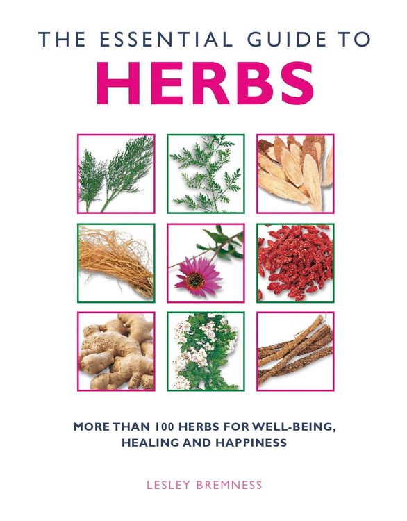 Produktbild: The Essential Guide to Herbs