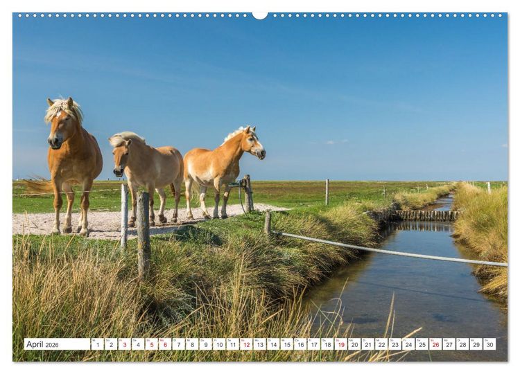 Produktbild: Schleswig-Holstein (hochwertiger Premium Wandkalender 2026 DIN A2 quer), Kunstdruck in Hochglanz