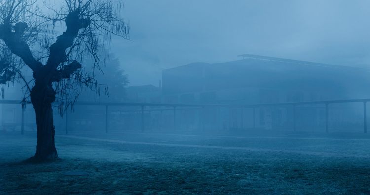 Produktbild: 12 Tage (OmU)
