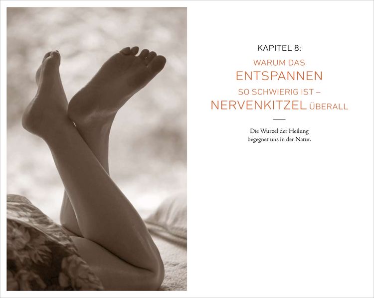Produktbild: K&ouml;rperfl&uuml;stern