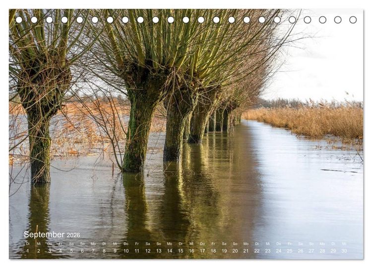 Produktbild: Astrein! - Der Baumkalender 2026 (Tischkalender 2026 DIN A5 quer), CALVENDO Monatskalender