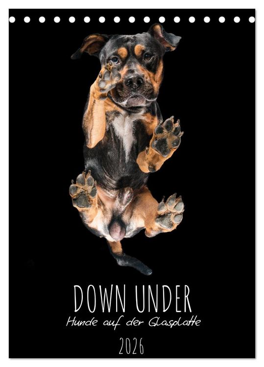 Produktbild: Down Under - Hunde auf der Glasplatte (Tischkalender 2026 DIN A5 hoch), CALVENDO Monatskalender
