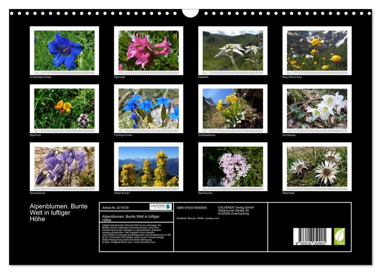Produktbild: Alpenblumen. Bunte Welt in luftiger H&ouml;he (Wandkalender 2026 DIN A3 quer), CALVENDO Monatskalender