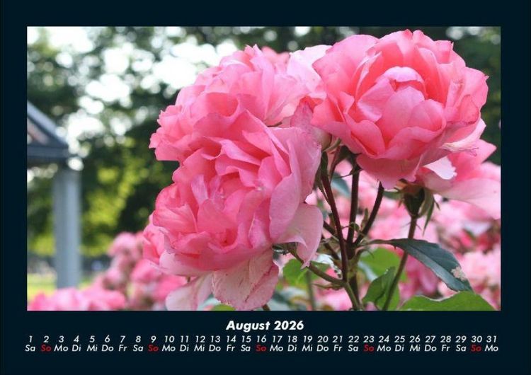 Produktbild: Blumenkalender 2026 Fotokalender DIN A4