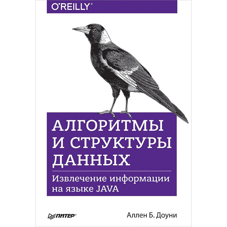 Produktbild: Algoritmy i struktury dannyh. Izvlechenie informacii na yazyke Java