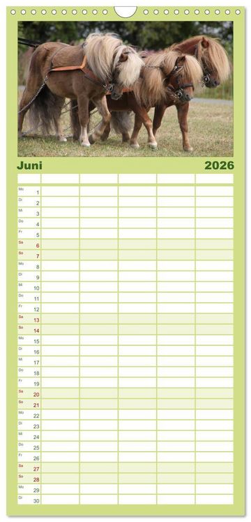 Produktbild: Familienplaner 2026 - Starke Pferde bei der Arbeit mit 5 Spalten (Wandkalender, 21 x 45 cm) CALVENDO